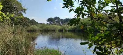 Paysage naturel près de la maison de vacances