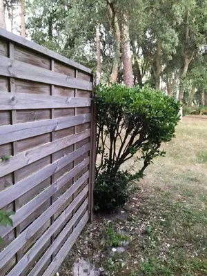 Jardin de l'établissement Le Domaine du Golf de Pinsolle - maeva Home - Appartement 2 pièces 5 personnes - Sélection MAE-8544