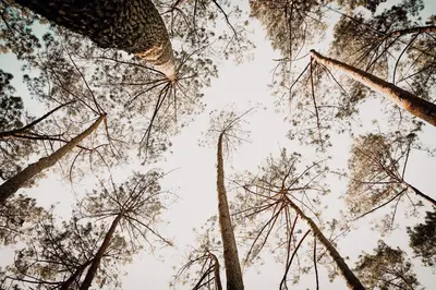 Paysage naturel près de la tente de luxe