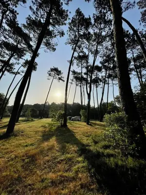 Paysage naturel près de la tente de luxe