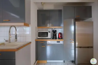 Cuisine ou kitchenette dans l'établissement Biscarrosse Bourg Appartement avec terrasse classé 1 étoile pour 4 personnes