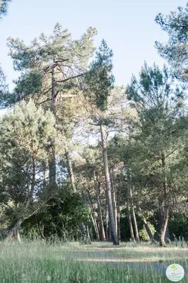 Paysage naturel près de l'appartement