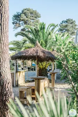 Jardin de l'établissement Biscarrosse duplex 4 pers à 200 m du Lac de Navarrosse