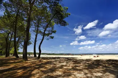 Paysage naturel près de l'appartement