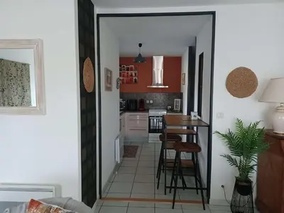 Cuisine ou kitchenette dans l'établissement Biscarrosse Bourg Charmant appartement T3 en centre ville