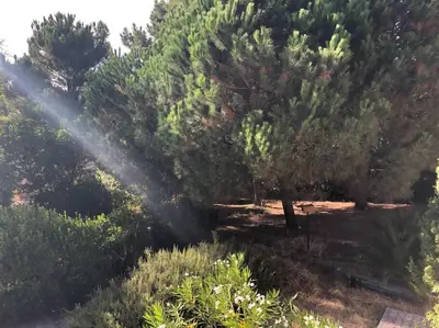 Jardin de l'établissement Villa Arethuse - Pyla sur Mer