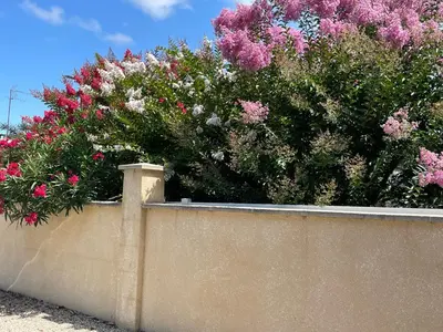 Jardin de l'établissement Villa proche Arcachon, Dune, Plages