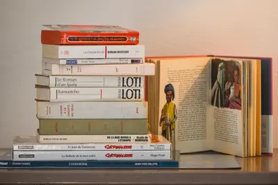 Bibliothèque dans le B&B/chambre d'hôtes